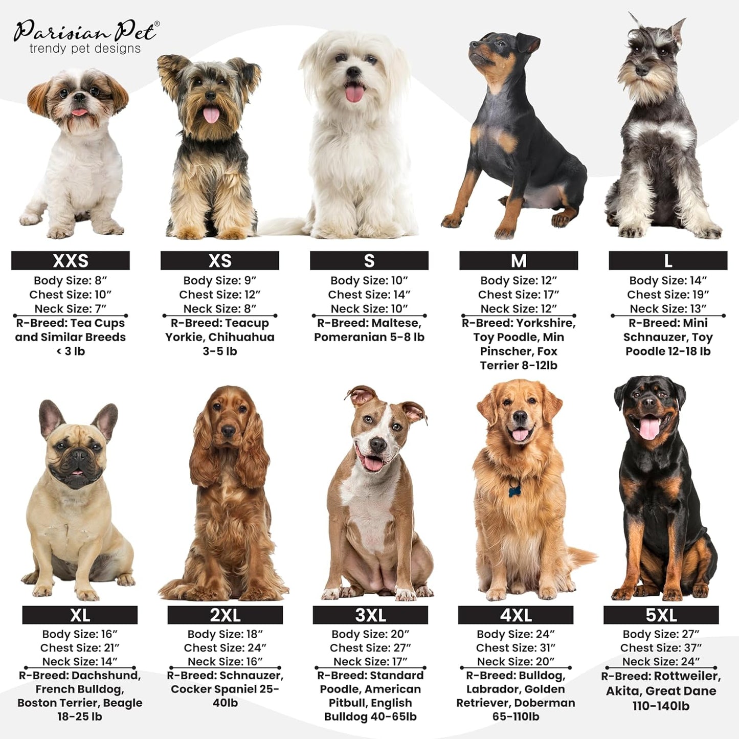 Dog T-Shirt - Embroidered Spoiled Rotten Dog Clothes - 100% Cotton, Sleeveless Pet Vest - Machine Washable Shirt for Large Dogs L