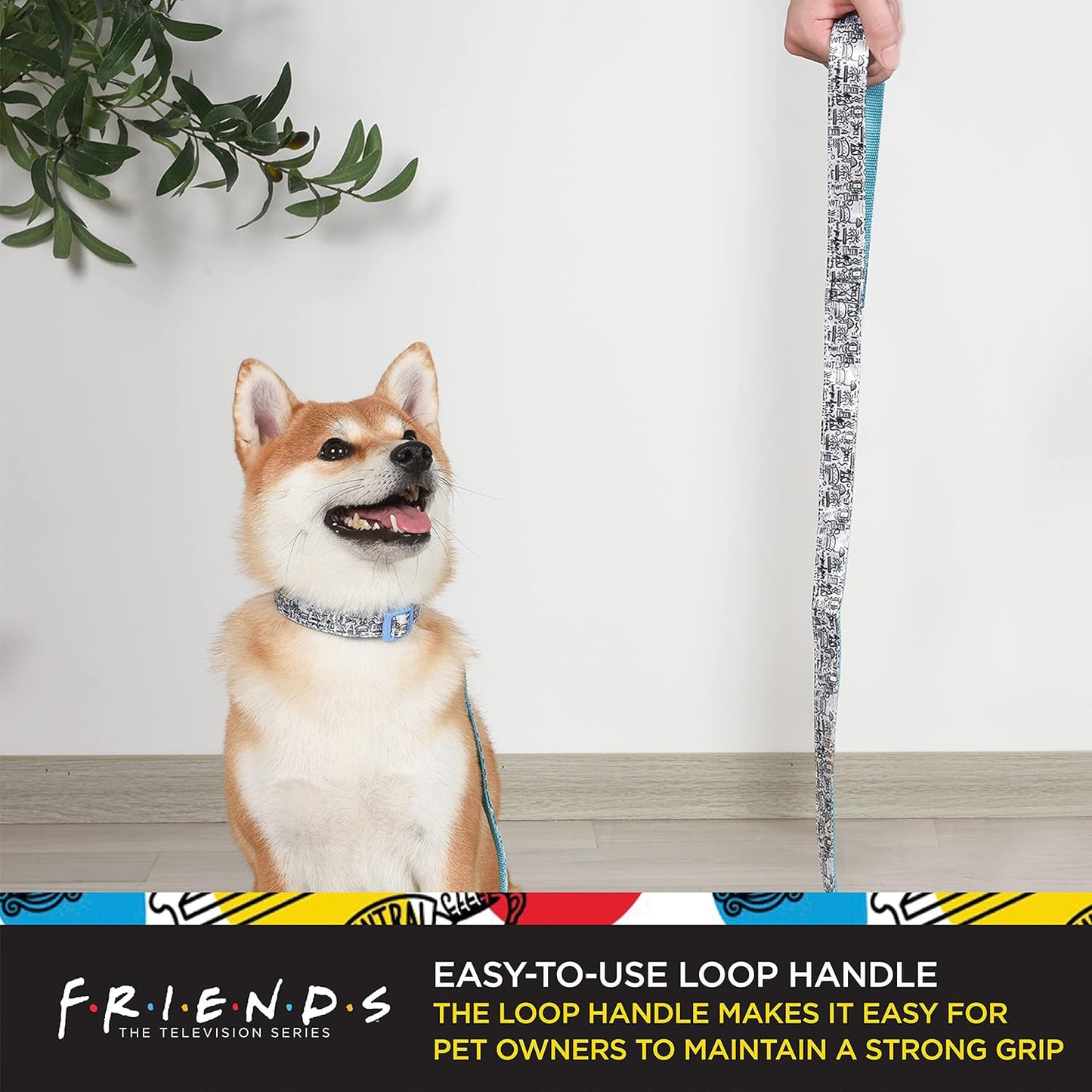 Friends TV Show City Doodle Dog Leash, 6 Ft (72 Inches) | Cute Blue Leash for Dogs & Harnesses