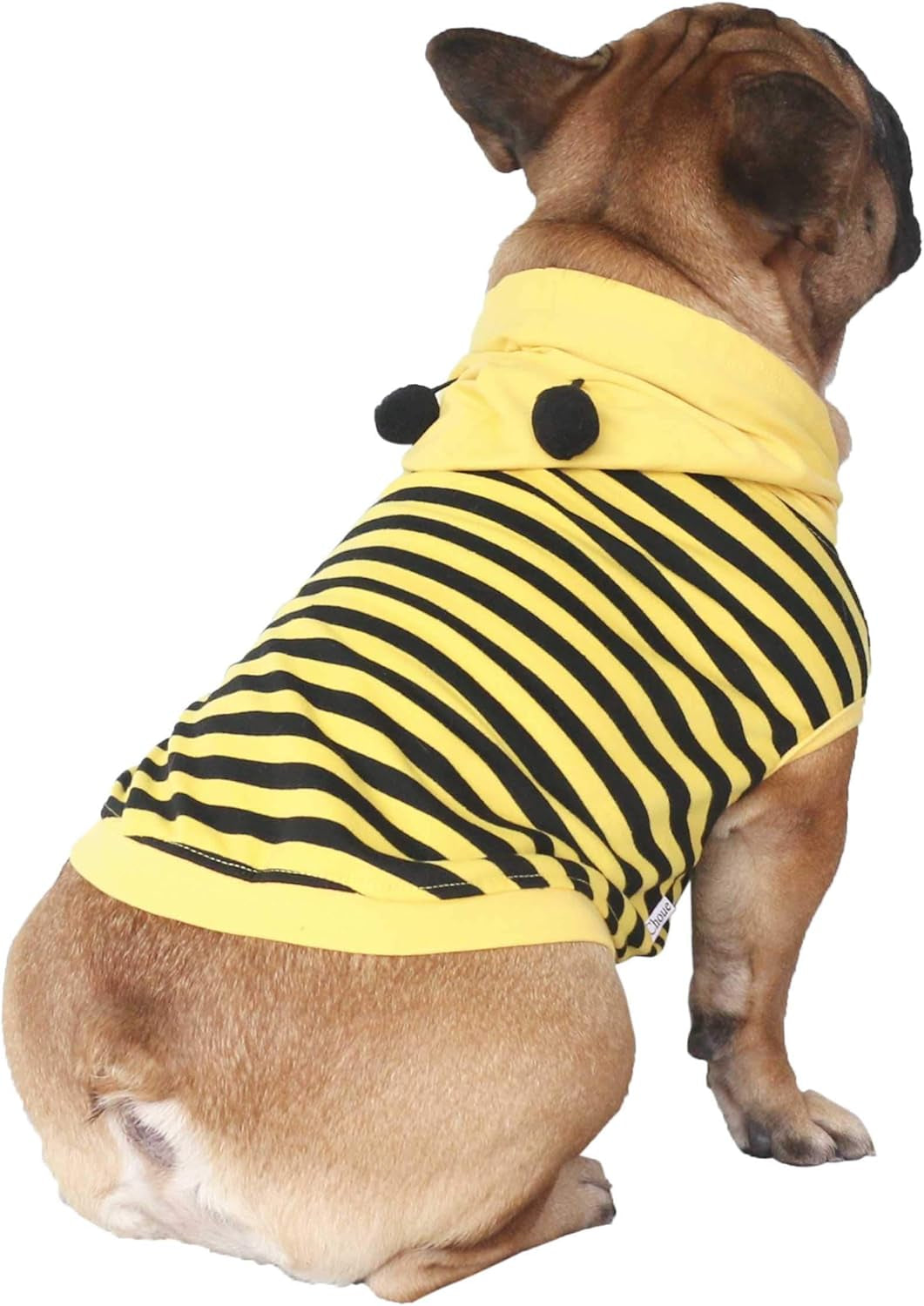 French Bulldog Bee Honeybee Bumblebee Caterpillar Insect Halloween Costumes Hoodies Sleeveless Clothes Outfits Cosplay Shirts for Dogs Frenchie Pug Boston - Black Yellow, Medium