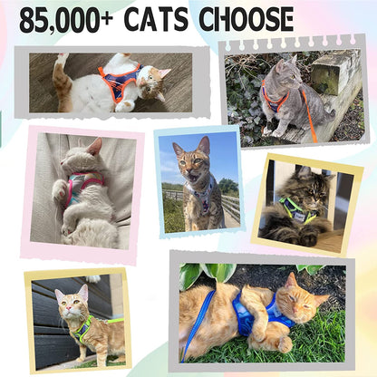 Cat Harness and Leash Set Stylish Escape Proof Cat Vest Harness Adjustable Breathable Pet Leash with Reflective Trim