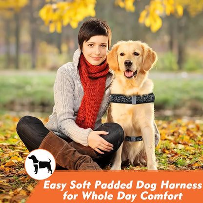 Dog Harness No Pull, Easy on and off Ultra Soft Breathable Padded Pet Vest Harness, Adjustable Reflective Top Paw Dog Harness for Small Medium Large Dogs (Small, Black-Orange)