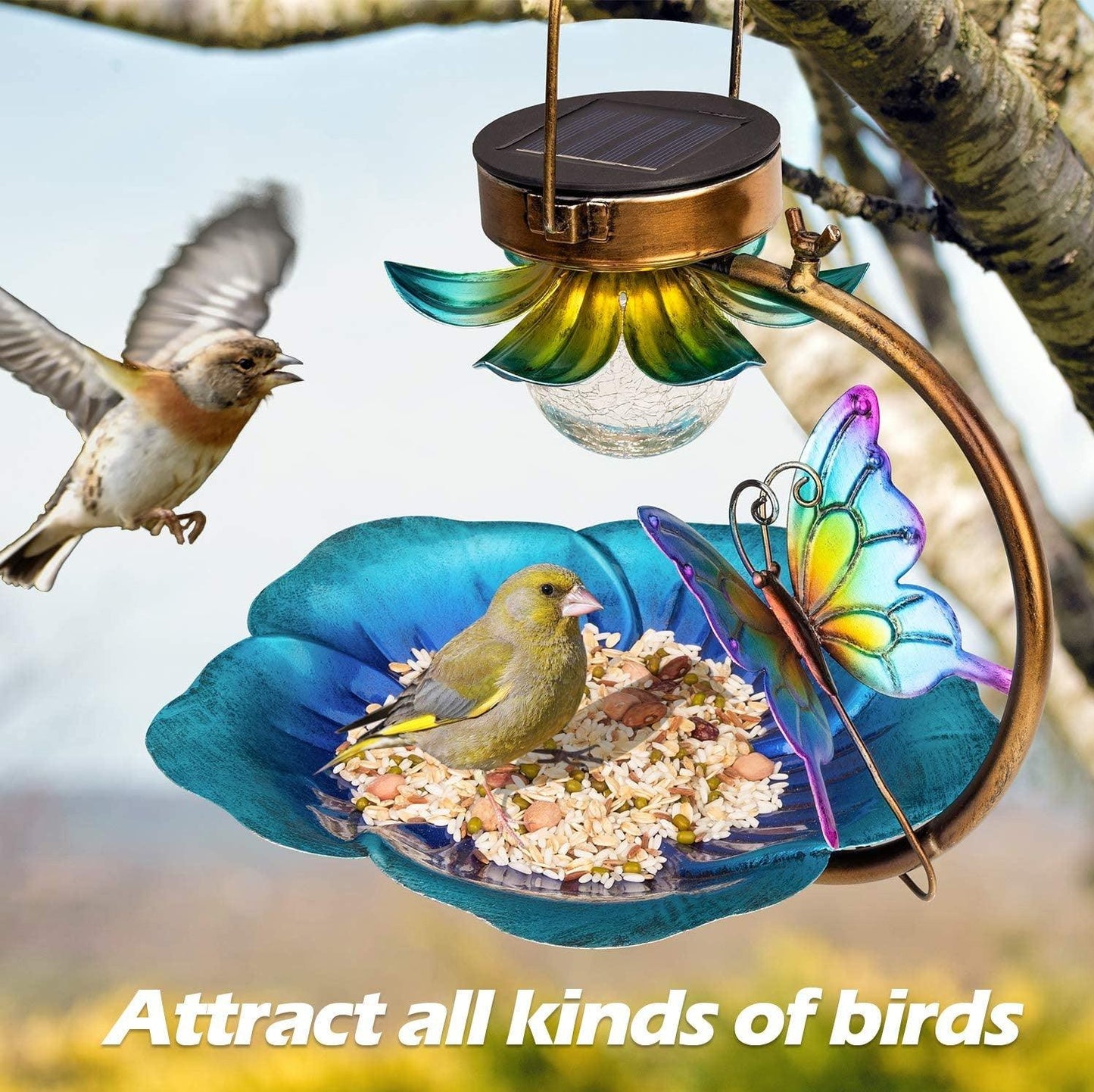 Solar Sparkle Sphere Bird Feeder