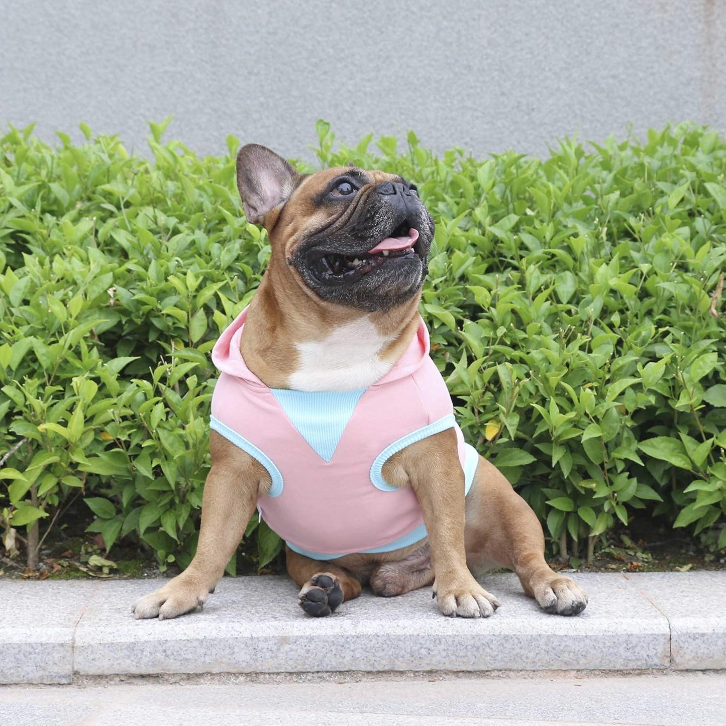 100% Breathable Cotton Dog Hoodies Clothes for English Bulldog Sweatshirts Sweaters French Frenchie Pug Medium Dogs - Pink, Xx-Large