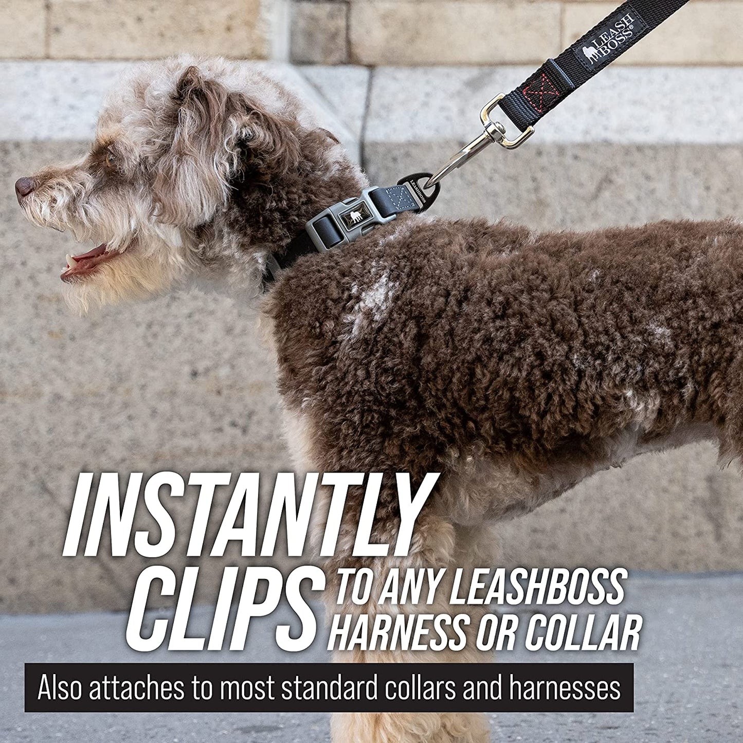 Free Range - Long Dog Leash for Large Dogs + Drawstring Backpack - 1 Inch Nylon Training Lead with Padded Handle (Black) (30 Ft)