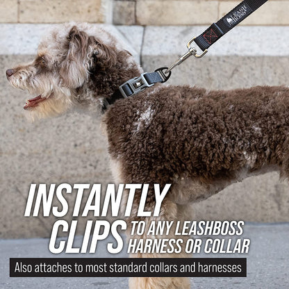 Free Range - Long Dog Leash for Large Dogs + Drawstring Backpack - 1 Inch Nylon Training Lead with Padded Handle (Black) (30 Ft)