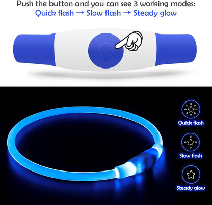 Light up Dog Collar,  USB Rechargeable Flash Dog Necklace Light, Pet Safety Collar Makes Your Beloved Dogs Be Seen at Night for Small Medium Large Dogs(Blue)