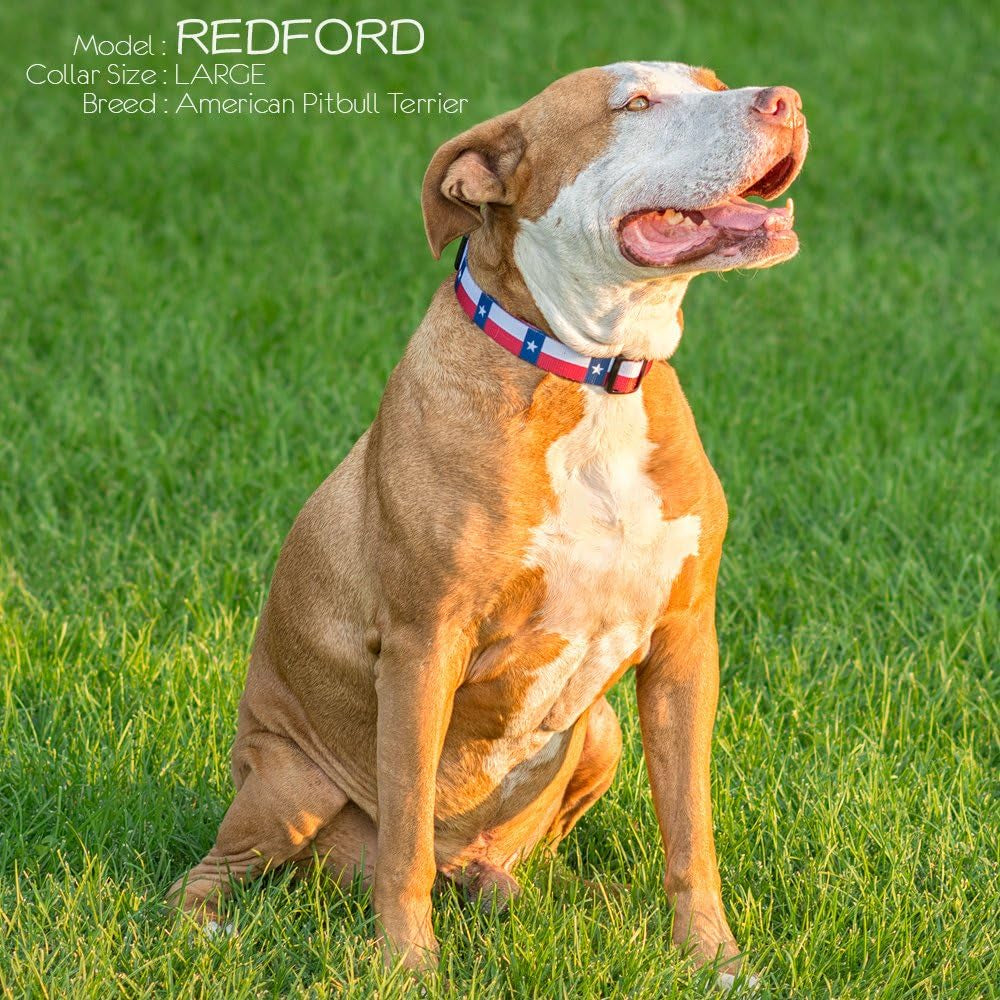 Texas Flag Dog Collar (Large)