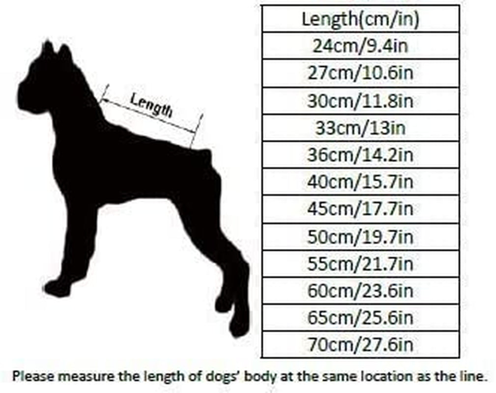 Mt. Tallac Winter Dog Coat - Technical Jacket Is, Black, Size 22" - 55Cm