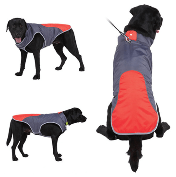 Reflective Pet Safety Jacket