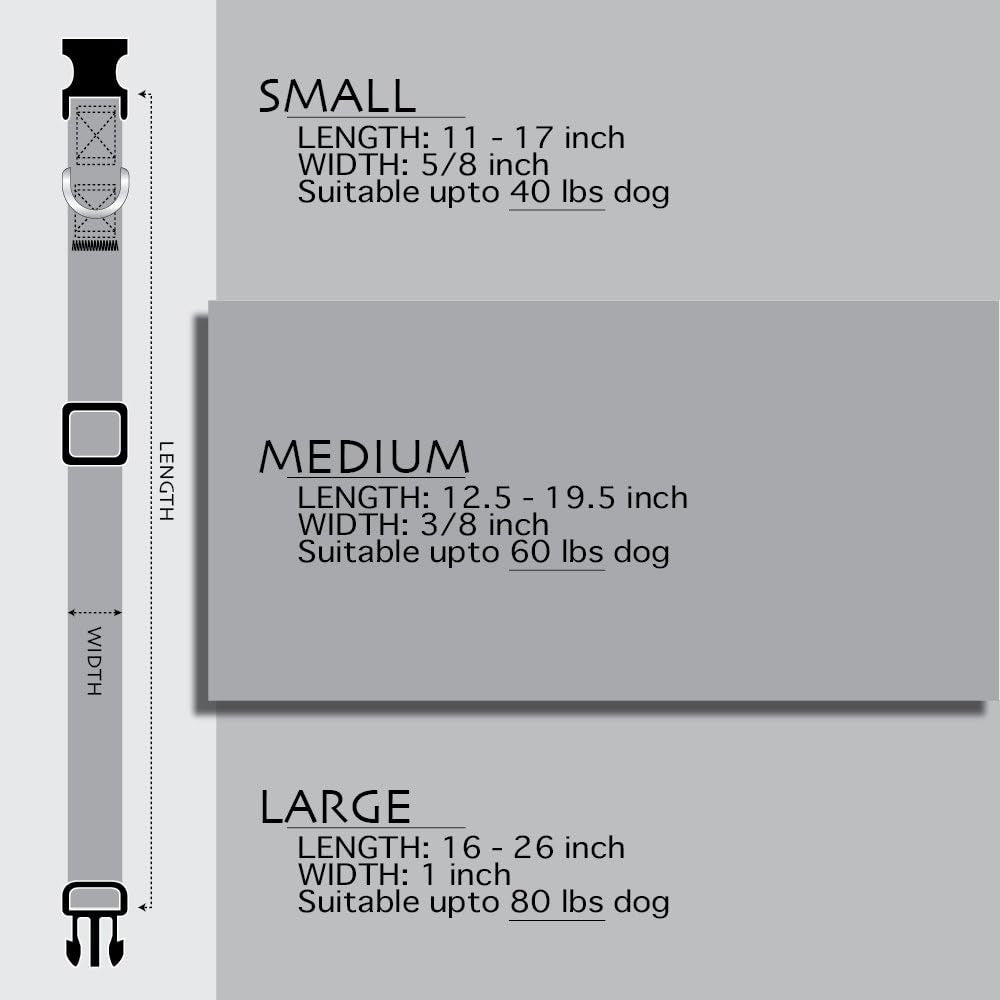 Texas Flag Dog Collar (Large)