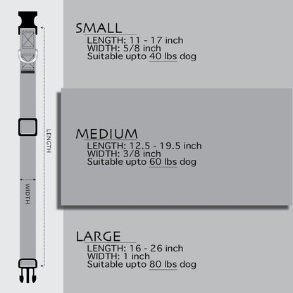 Texas Flag Dog Collar (Large)