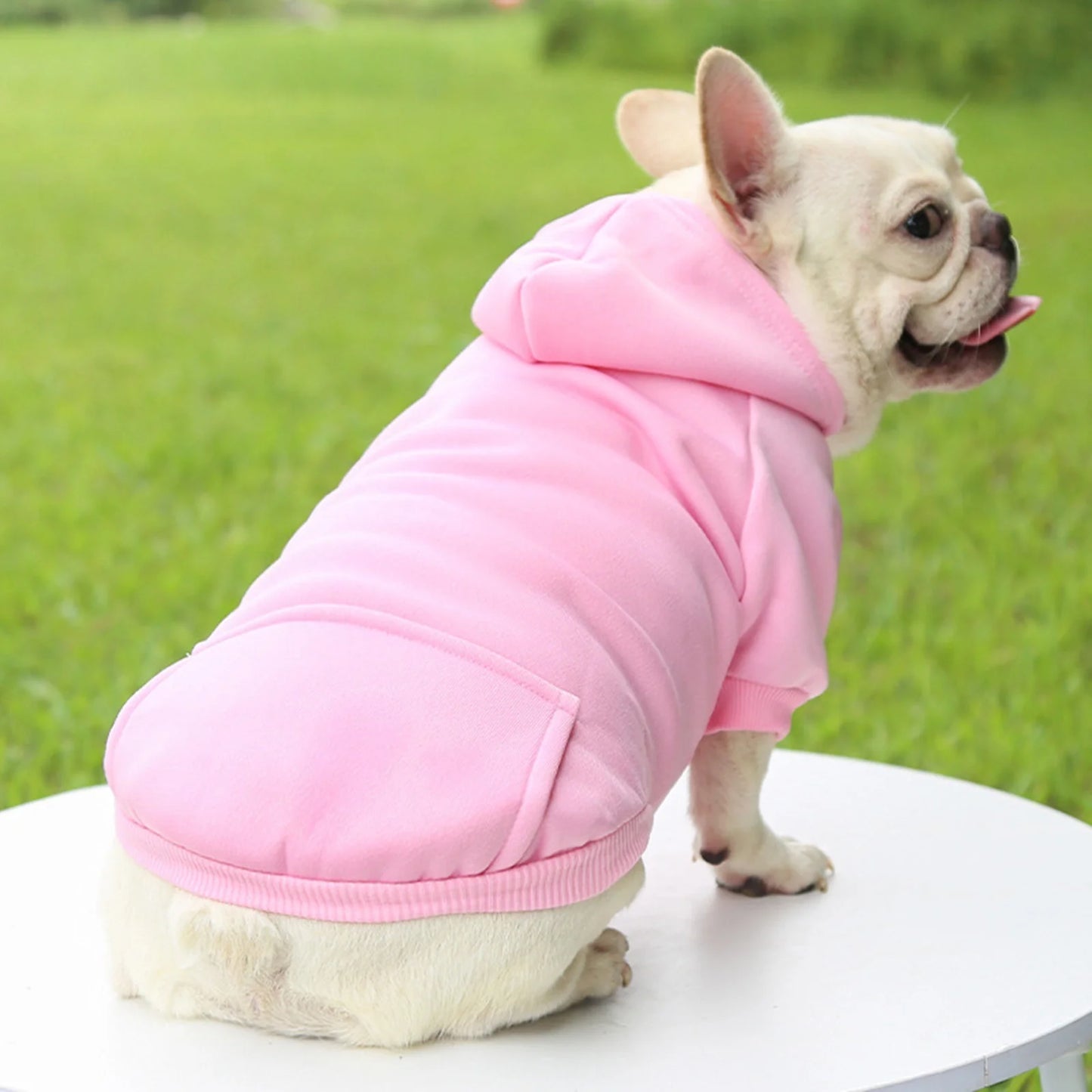 Dog Hoodie with Pocket - Fall Winter Warm Sweater Puppy Clothes Boy Dog Clothes Large Size Dog for Small Medium Dogs X Small Dog Clothes Boy Girl Girl Dog Clothes Winter Coats Dog Clothes