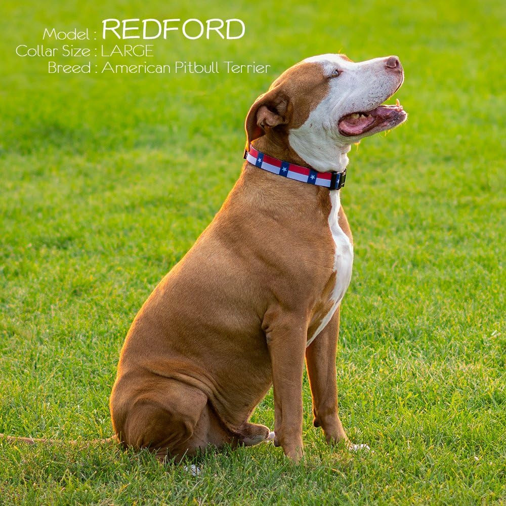 Texas Flag Dog Collar (Large)