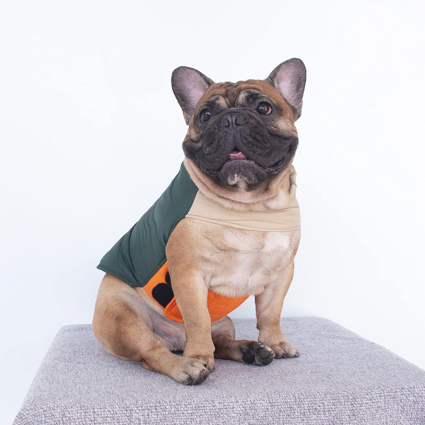 French Bulldog Frenchie Winter Coats Dog Jackets Cotton Padded Vests for Pug English Boston Terrier Pitbull - Green/Large
