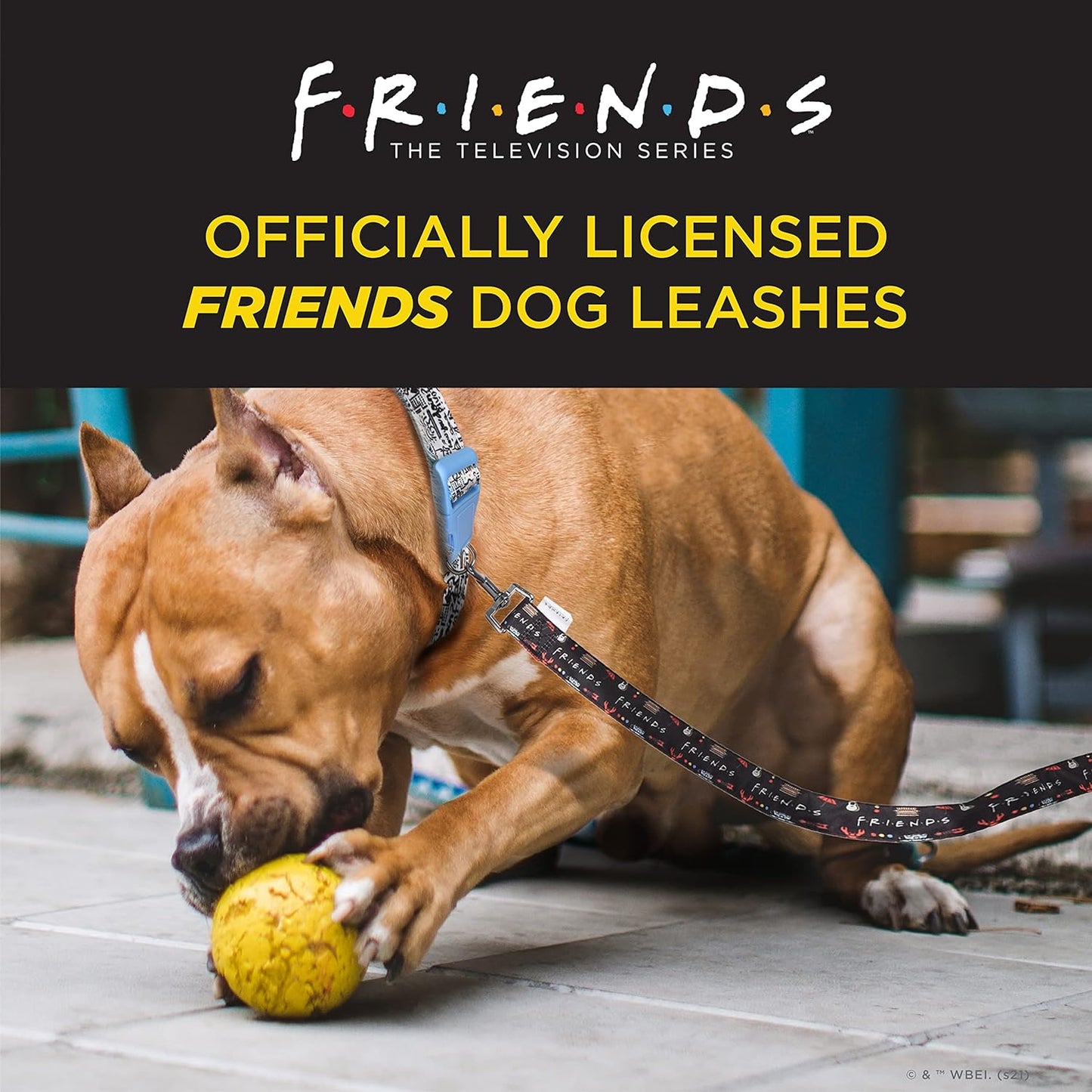Friends TV Show Dog Leash - Iconic Graphics, 48 Inch, Easily Attaches to Collar or Harness