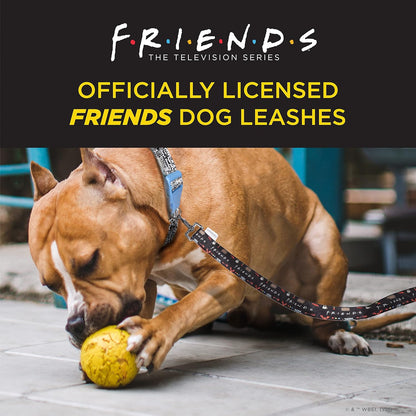Friends TV Show Dog Leash - Iconic Graphics, 48 Inch, Easily Attaches to Collar or Harness