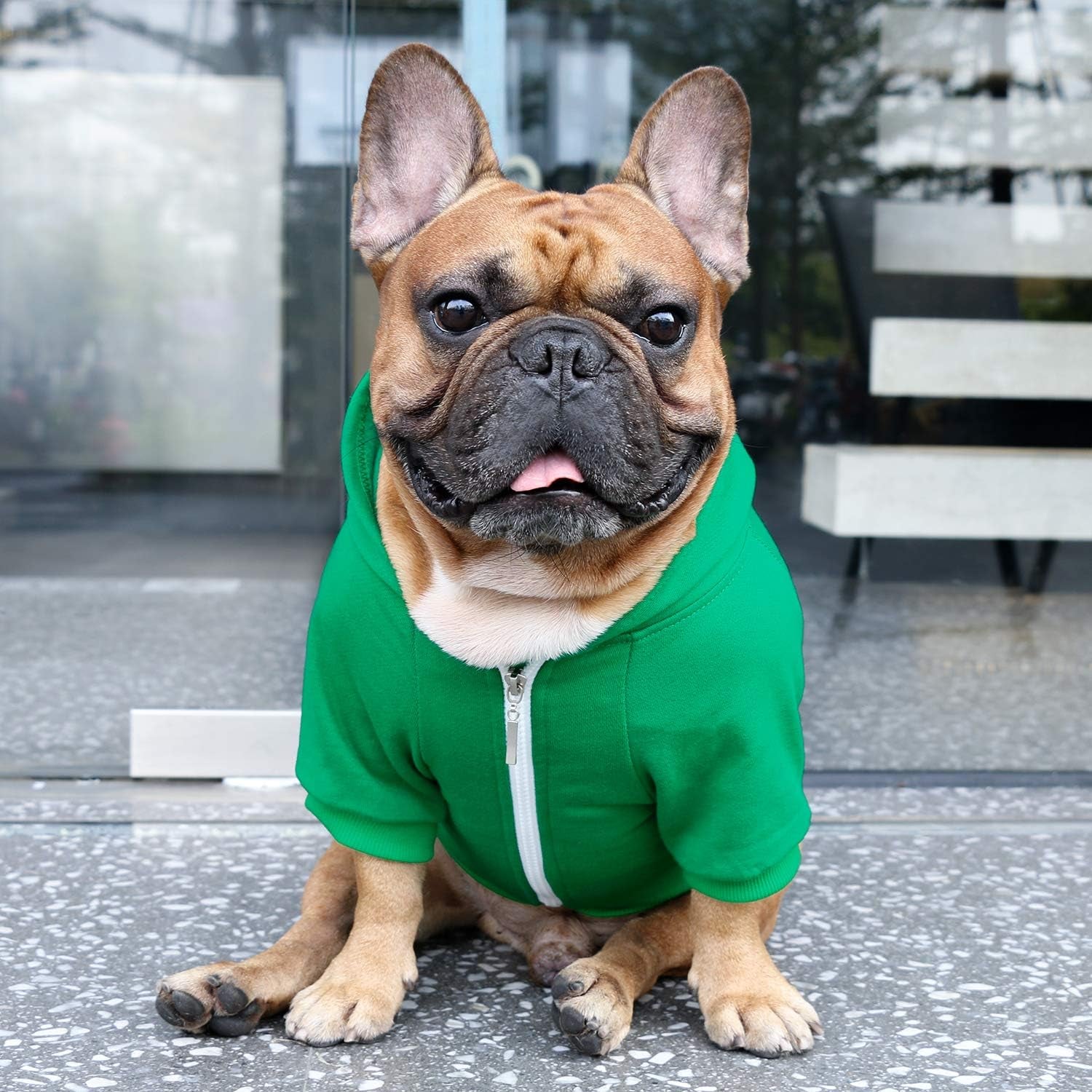 Pug Clothes Hoodies for Dogs Puppy French Bulldog Frenchie English Boston Terrier Bully Pitbull Sweatshirt Sweater Clothing Cold Weather Winter Coats - Green/Small