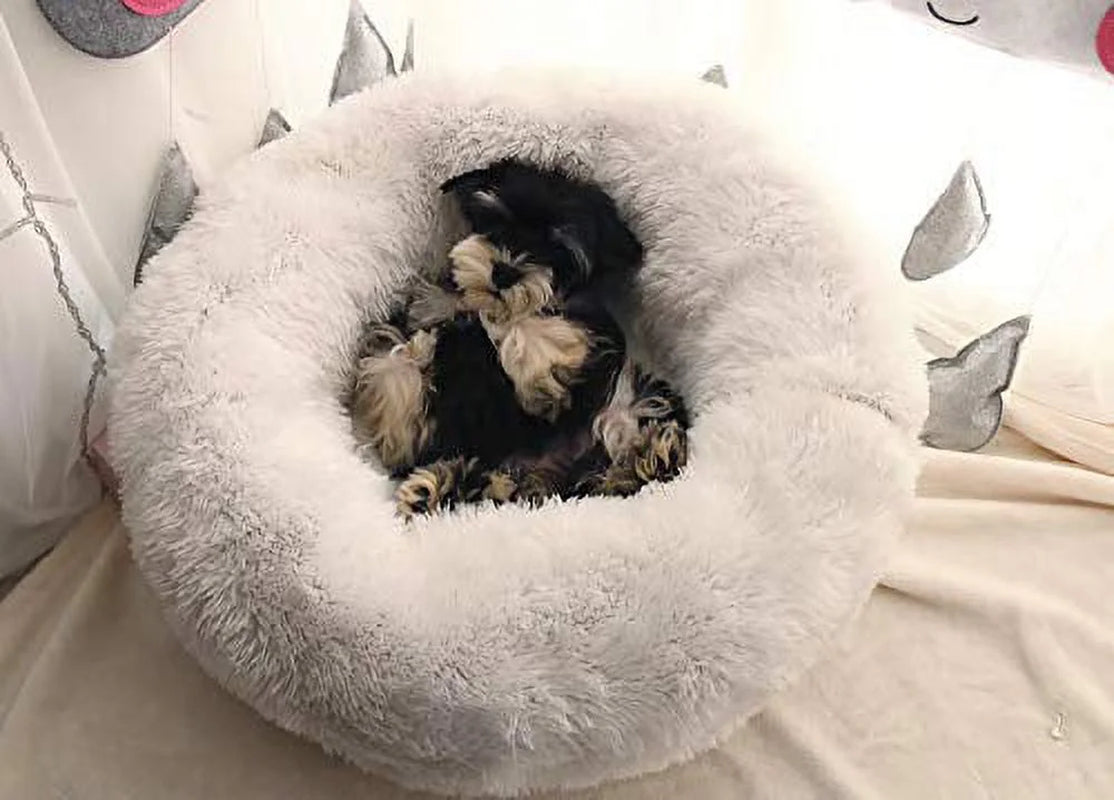 Modern Soft Plush round Pet Bed for Cats or Small Dogs, Mini Medium Sized Dog Cat Bed Self Warming Autumn Winter Indoor Snooze Sleeping Cozy Kitty Teddy Kennel (S(19.7”Dx7.9 H, Dark Grey)
