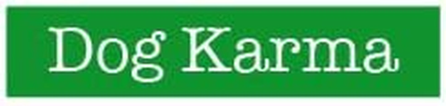 Texas Flag Dog Leash (Leash)