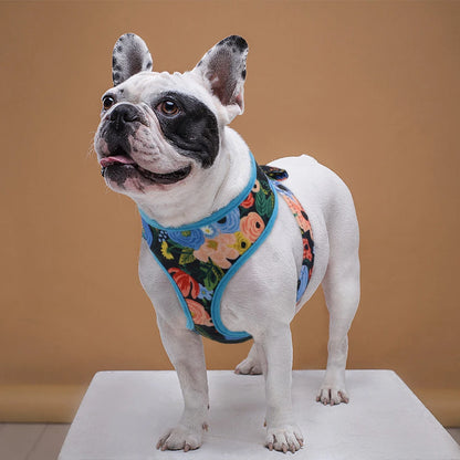 Cute Printed Chihuahua French Bulldog Harness Adjustable Puppy Cat Harness Pet Small Dog Vest for Pug Yorkie Walking Training