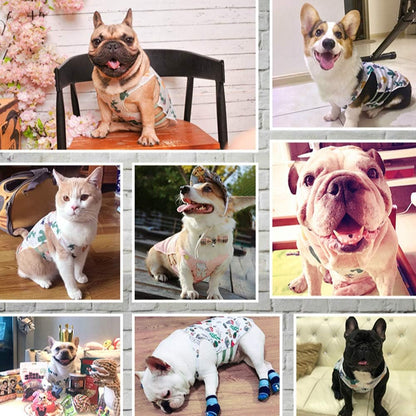 Puppy Clothes for Small Dogs Girl Boy Chiuahaha Outfits Dog Shirt Pet Cat Clothing Male Female Clothing Yorkie Set of 3 (XS)