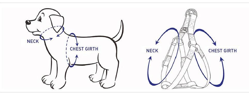 STEP IN HARNESS - LIGHT GREEN