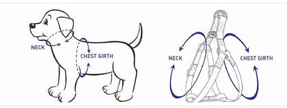 STEP IN HARNESS - LIGHT GREEN