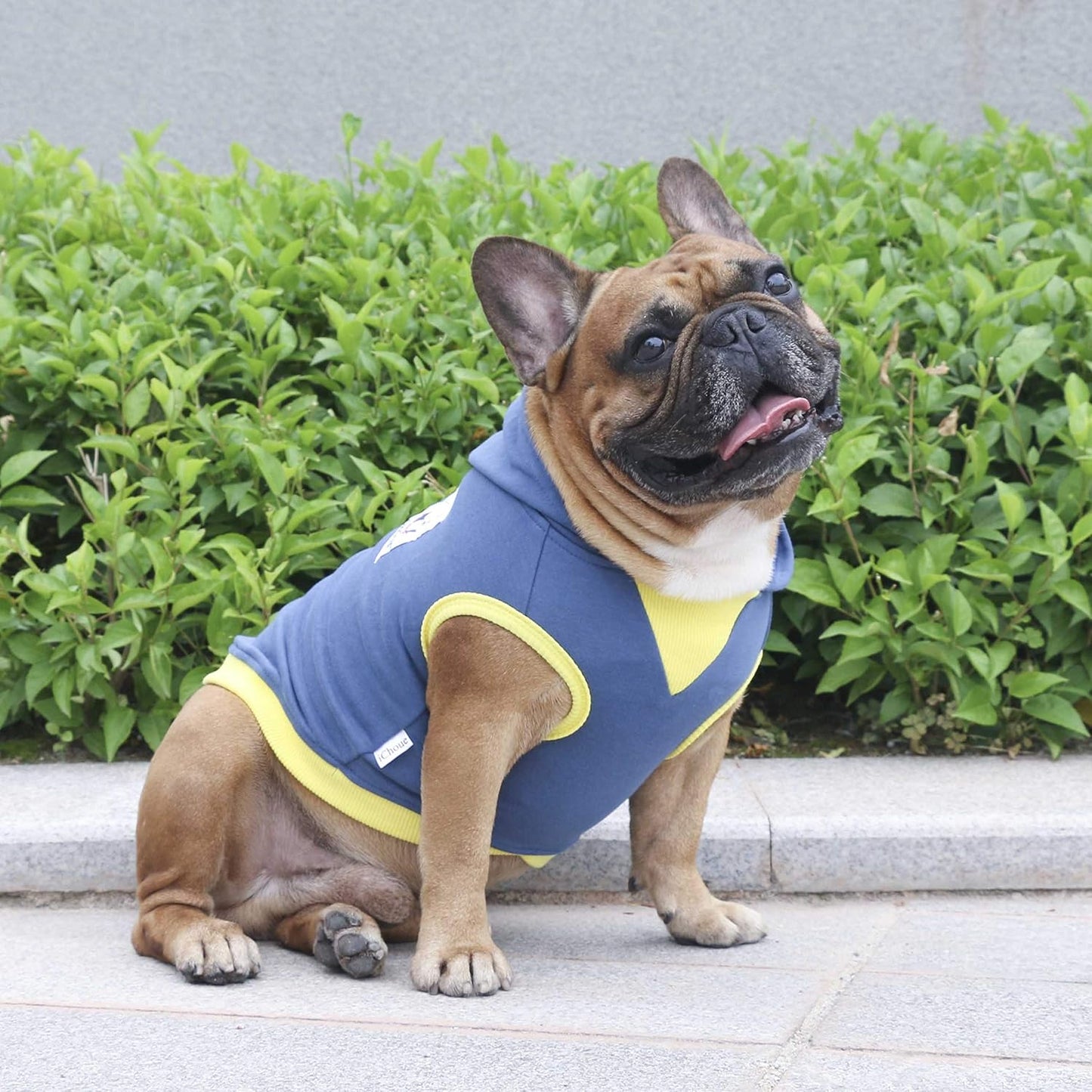 100% Breathable Cotton Dog Hoodies Clothes for French Bulldog Sweatshirts Sweaters Frenchie Pug English Medium Dogs - Navy, Large Plus