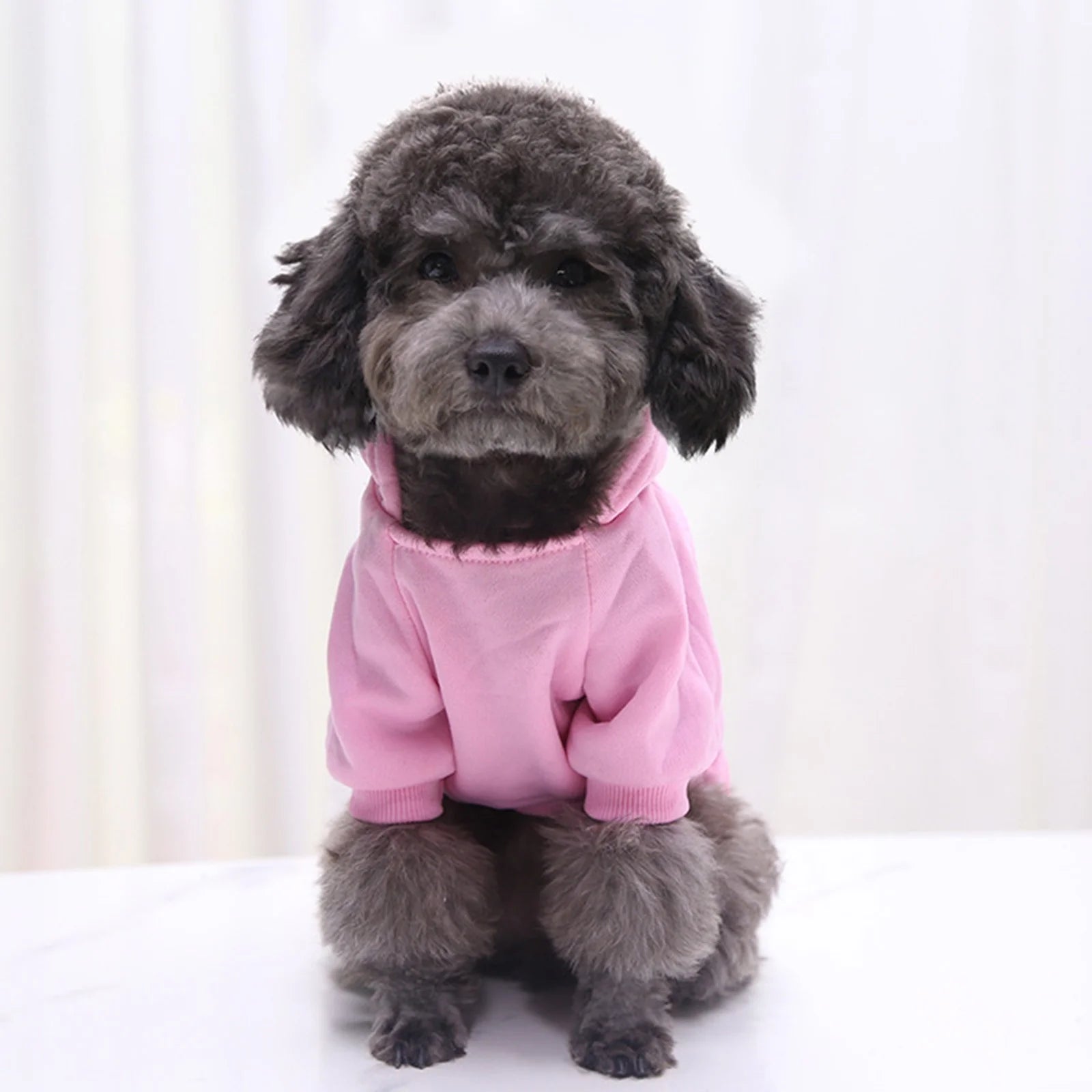Dog Hoodie with Pocket - Fall Winter Warm Sweater Puppy Clothes Boy Dog Clothes Large Size Dog for Small Medium Dogs X Small Dog Clothes Boy Girl Girl Dog Clothes Winter Coats Dog Clothes