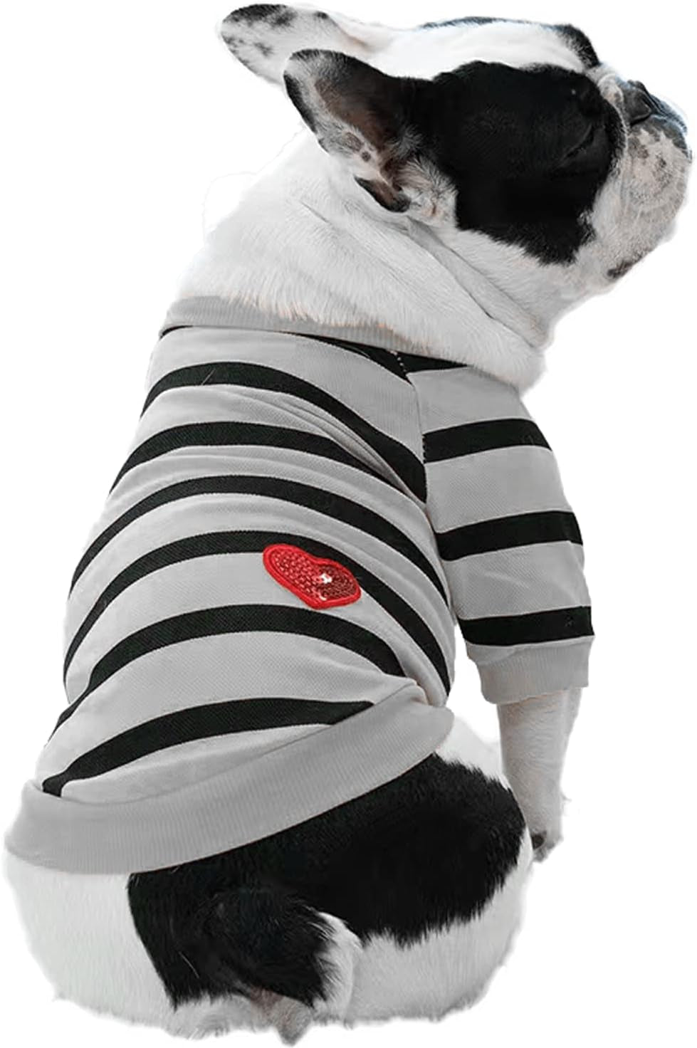 French Bulldog & Boston Terrier Clothes: Boys' Small Dog Striped T-Shirt, Grey
