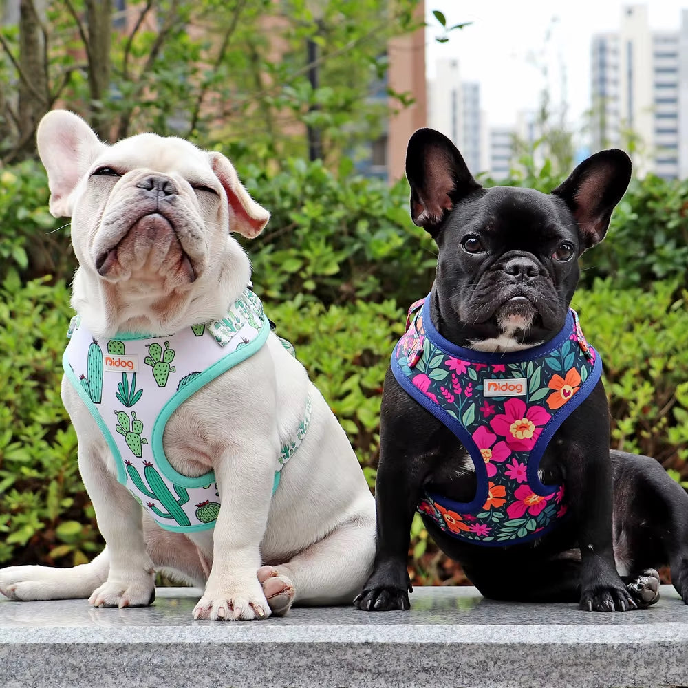 Mesh Nylon Dog Harness Vest Soft Padded Dogs Cat Vests Harnesses Cactus Print for Small Medium Dog Cats French Bulldog Chihuahua