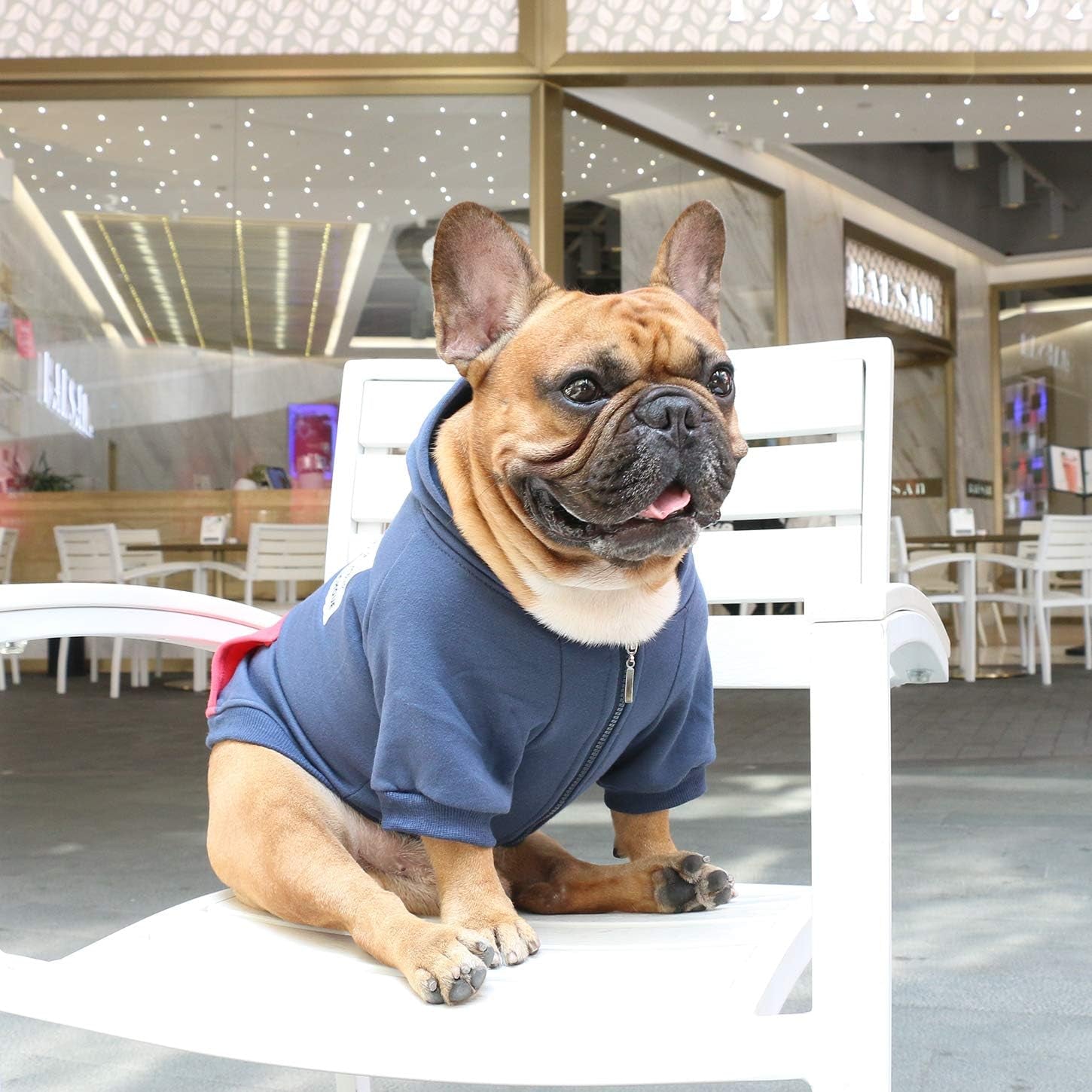 Pug Clothes Hoodies for Dogs Puppy French Bulldog Frenchie English Boston Terrier Bully Pitbull Sweatshirt Sweater Clothing Cold Weather Winter Coats - Navy/Small