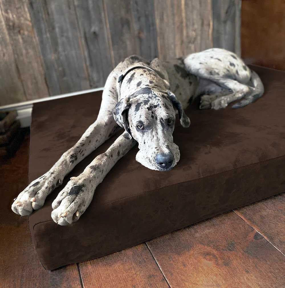 Barker Beds Giant Orthopedic Dog Bed for Large Dogs - 7" Thick Washable XL Mattress with Microsuede Cover - Durable Big Dog Bed - Water-Resistant, Machine Washable - Made in USA (Chocolate)