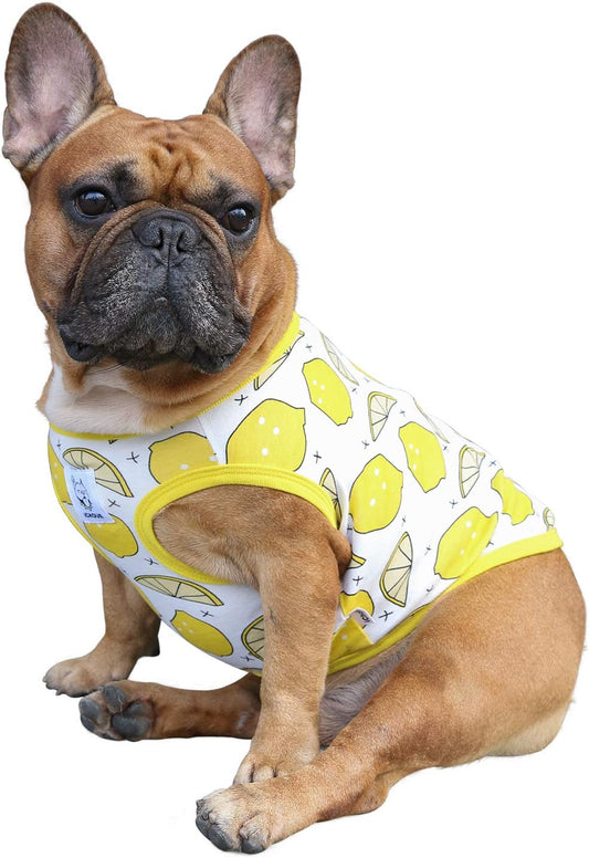 100% Breathable Cotton French Bulldog Halloween Cartoon T Shirts Cute Clothes for Medium Dogs Vest Tank Tops Frenchie English Boston Terrier Pitbull Lemon - Large Plus