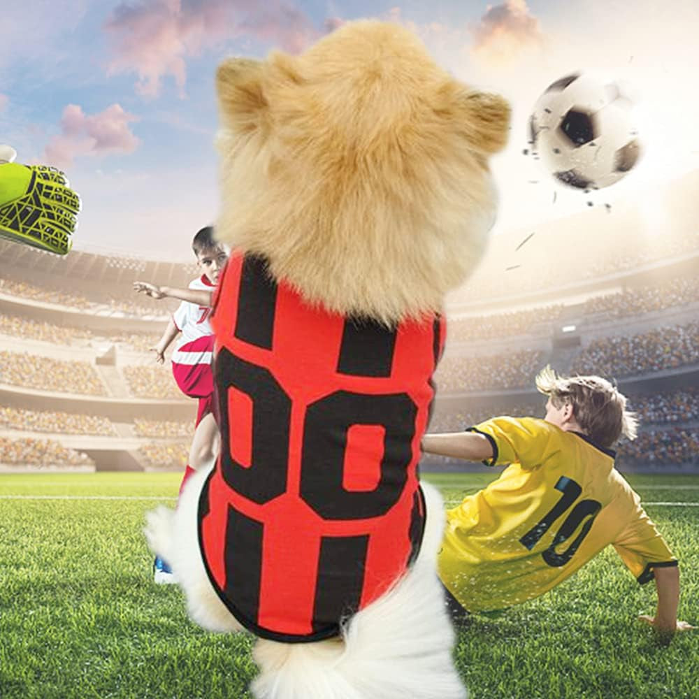 3 Piece Pet Dog Clothes for Small Dogs Girl Boy Puppy Shirt Male Female Outfits  Cat Clothing Apparel for Teacup Rench Bulldog Yorkie Breed (XS)