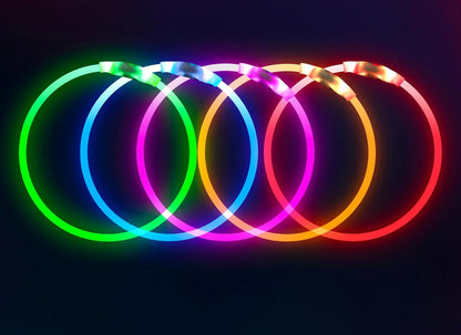 Light up Dog Collar,  USB Rechargeable Flash Dog Necklace Light, Pet Safety Collar Makes Your Beloved Dogs Be Seen at Night for Small Medium Large Dogs(Blue)