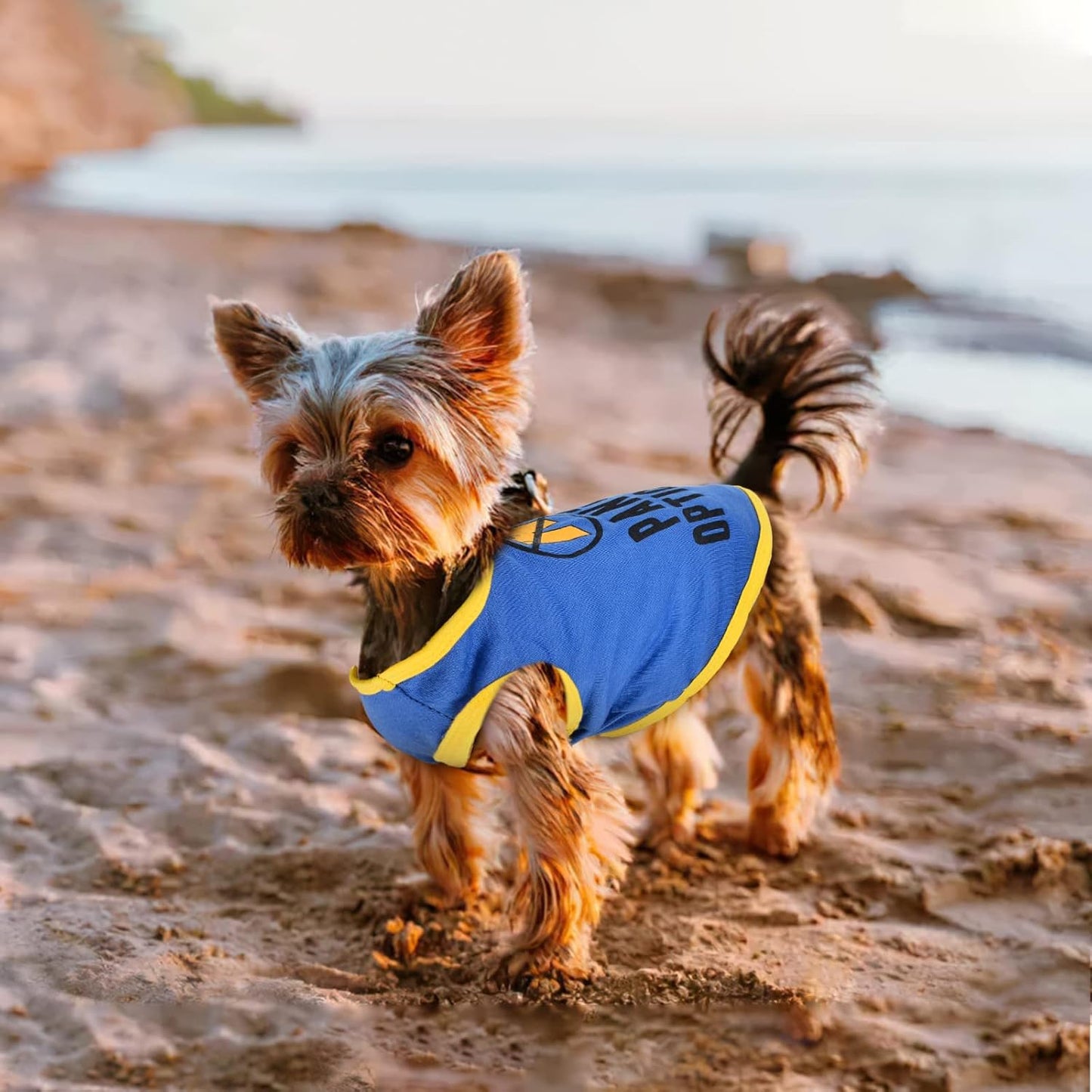 Extra Small Puppy Clothes Dog Clothes for Small Dogs Boy Girl Chihuahua Teacup Yorkie Clothes Puppy Outfits Dog Tshirt for Small Dogs Boy Tiny Dog Shirts Dog Apparel & Accessories (XS)