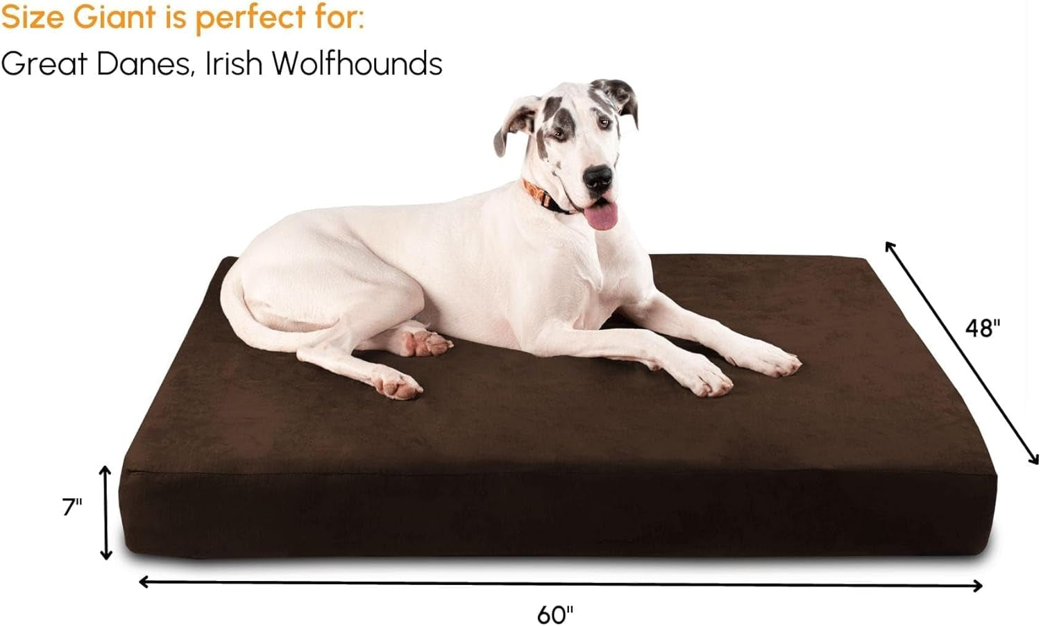 Barker Beds Giant Orthopedic Dog Bed for Large Dogs - 7" Thick Washable XL Mattress with Microsuede Cover - Durable Big Dog Bed - Water-Resistant, Machine Washable - Made in USA (Chocolate)