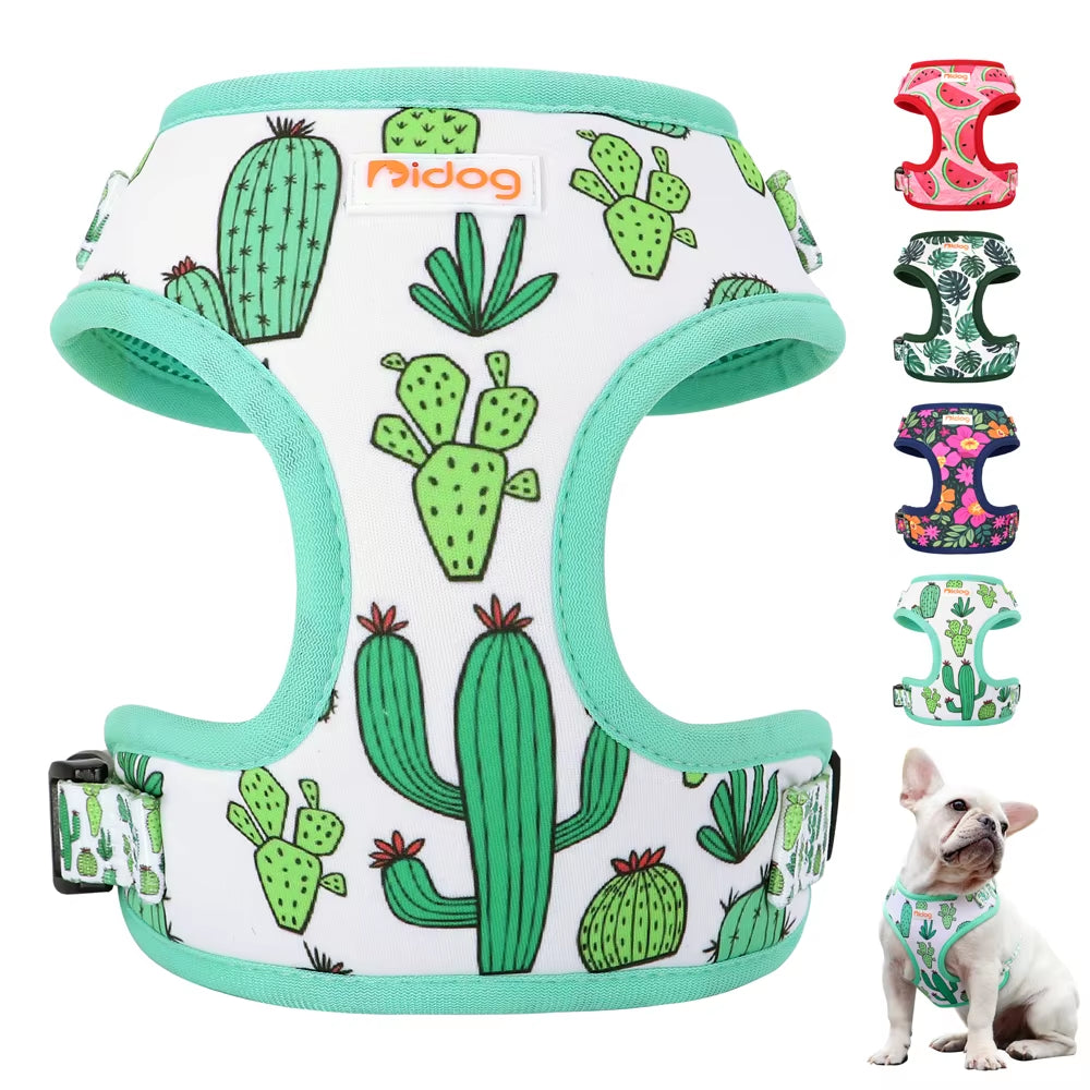 Mesh Nylon Dog Harness Vest Soft Padded Dogs Cat Vests Harnesses Cactus Print for Small Medium Dog Cats French Bulldog Chihuahua