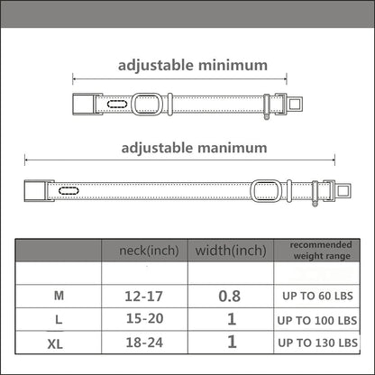 Luxury Padded Adjustable Heavy Duty Nylon Dog Collar, Seatbelt Metal Buckle,For Medium Large Pets