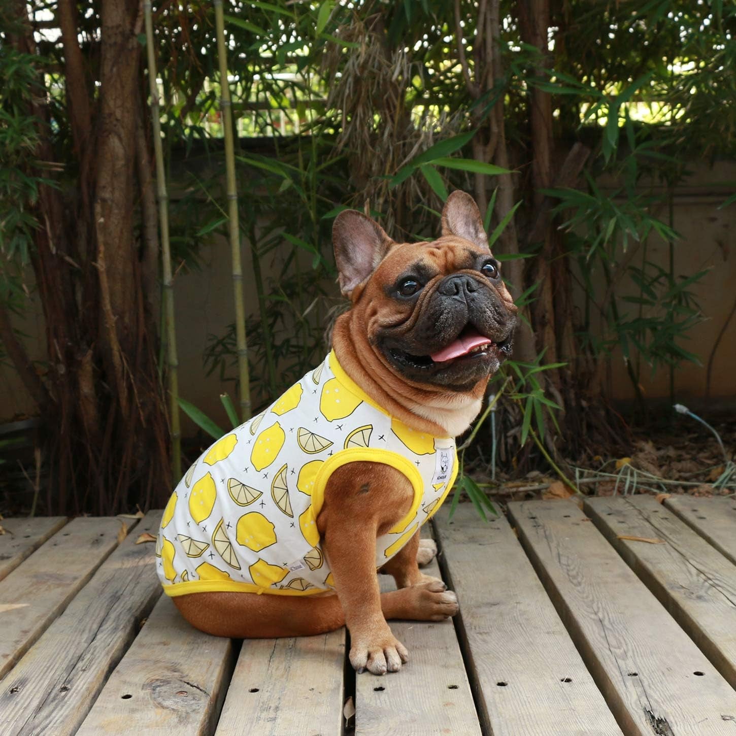 100% Breathable Cotton French Bulldog Halloween Cartoon T Shirts Cute Clothes for Medium Dogs Vest Tank Tops Frenchie English Boston Terrier Pitbull Lemon - Large Plus