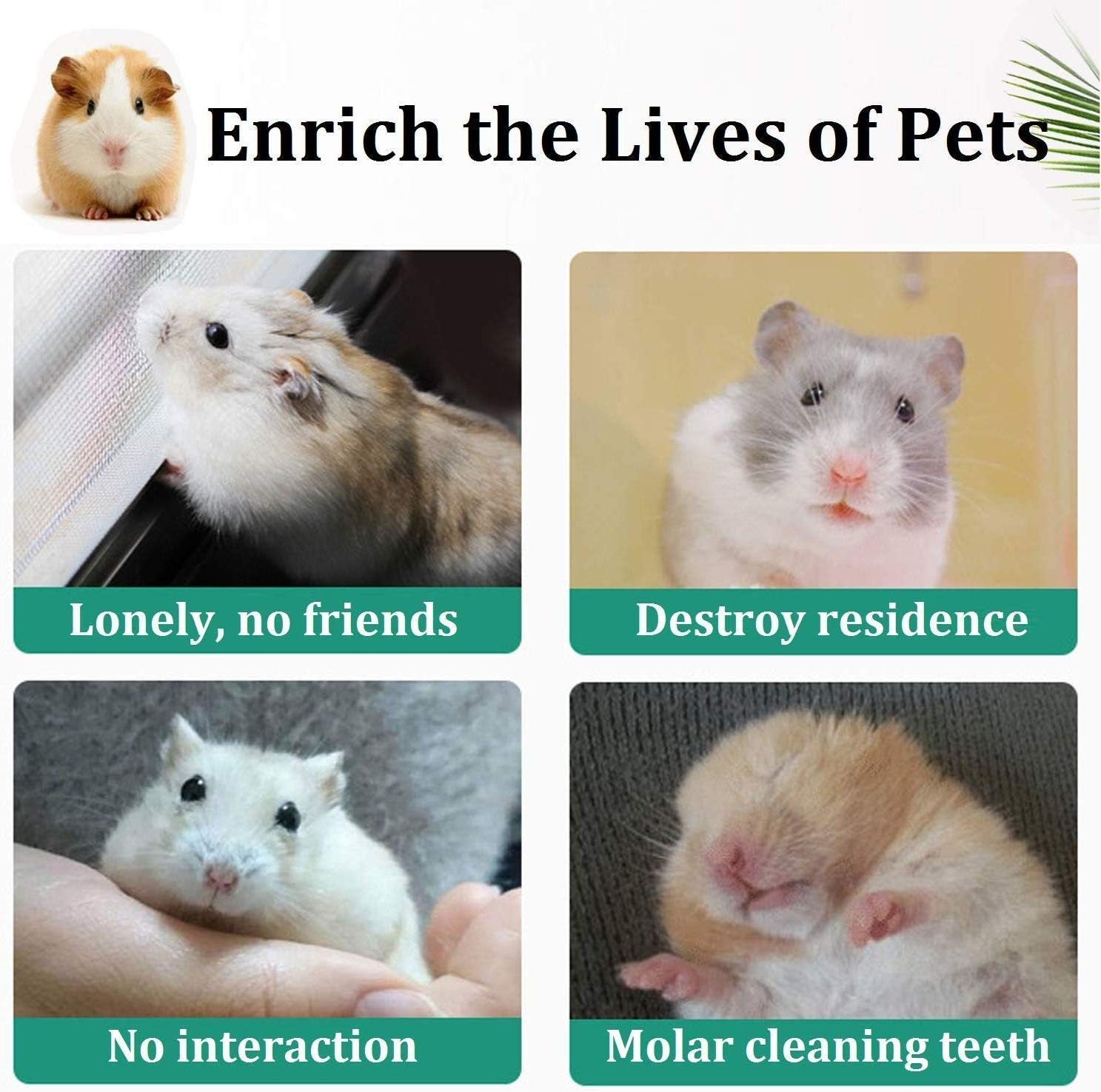 12PCS Hamster Chew Toys Guinea Pig Toys Natural Wooden Pine Rats Chinchillas Toys Accessories Dumbells Exercise Bell Roller Teeth Care Molar Toy for Birds Bunny Rabbits Gerbils