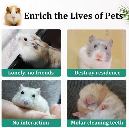 12PCS Hamster Chew Toys Guinea Pig Toys Natural Wooden Pine Rats Chinchillas Toys Accessories Dumbells Exercise Bell Roller Teeth Care Molar Toy for Birds Bunny Rabbits Gerbils