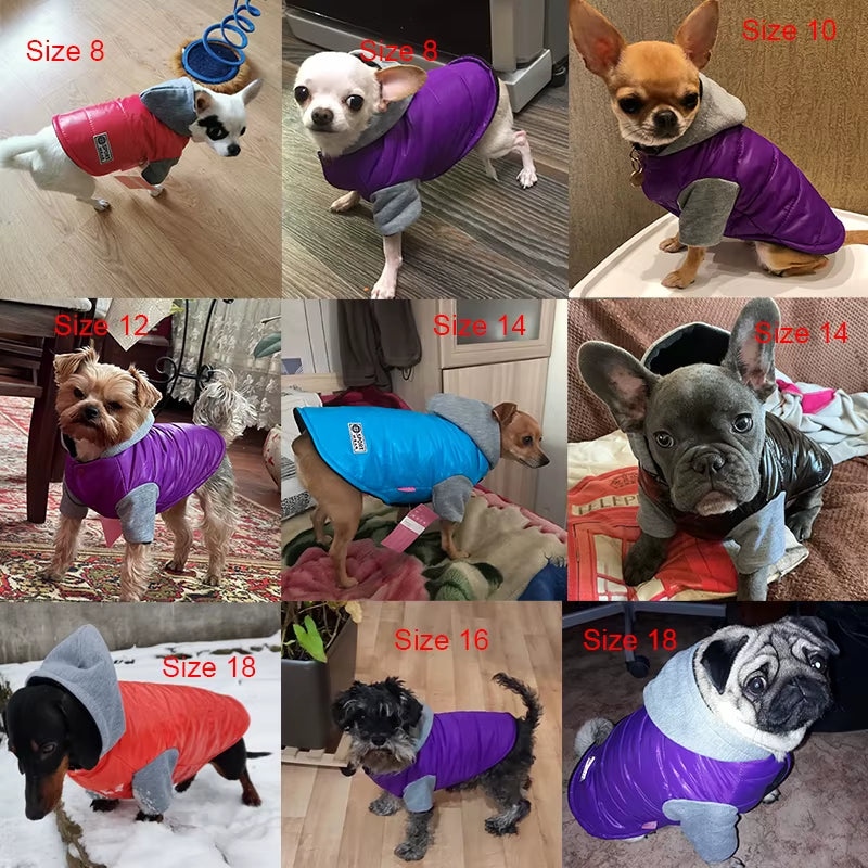Soft Warm Winter Dog Jacket Fleece Hoodies for Small Medium Dogs Chihuahua French Bulldog Pug Clothes Cats Coat Pet Ropa Perros