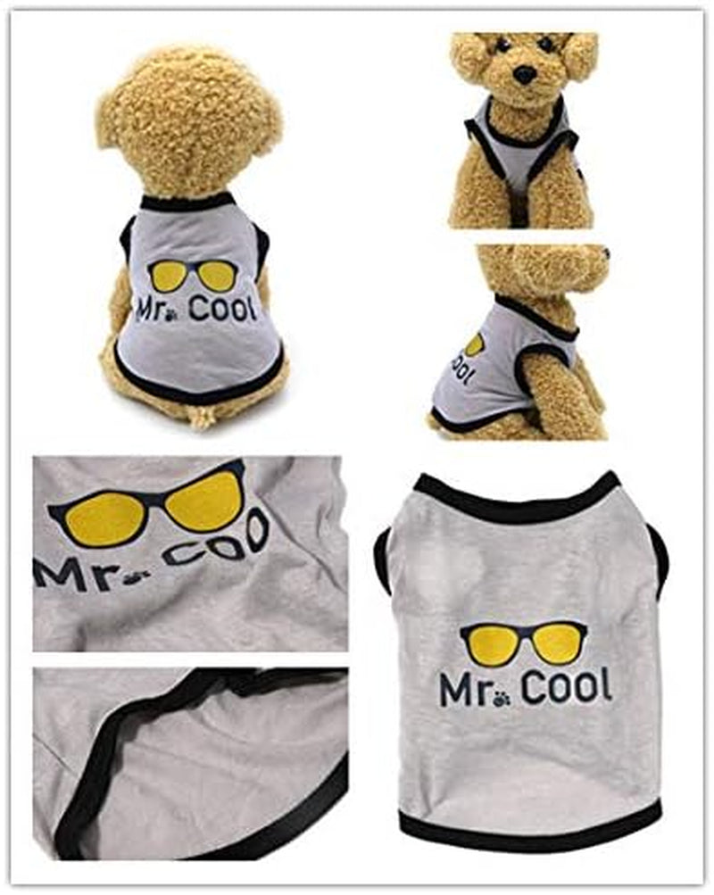 Wakeu Set of 4 Puppy Clothes for Small Dogs Boy Summer Shirt for Chihuahua Yorkies Male (B, X-Small)