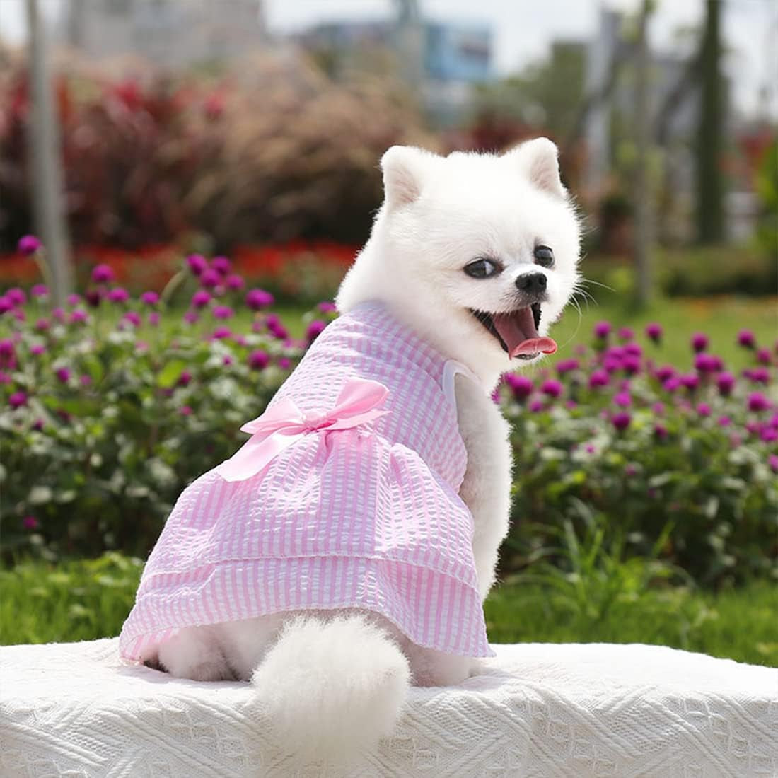 4 Pieces Dog Dresses for Small Girls, Summer Clothes, Cute Puppy Floral Fruits Pattern Female Pet Princess Bowknot Dress, Doggie Cat Outfit (AA, X-Small)