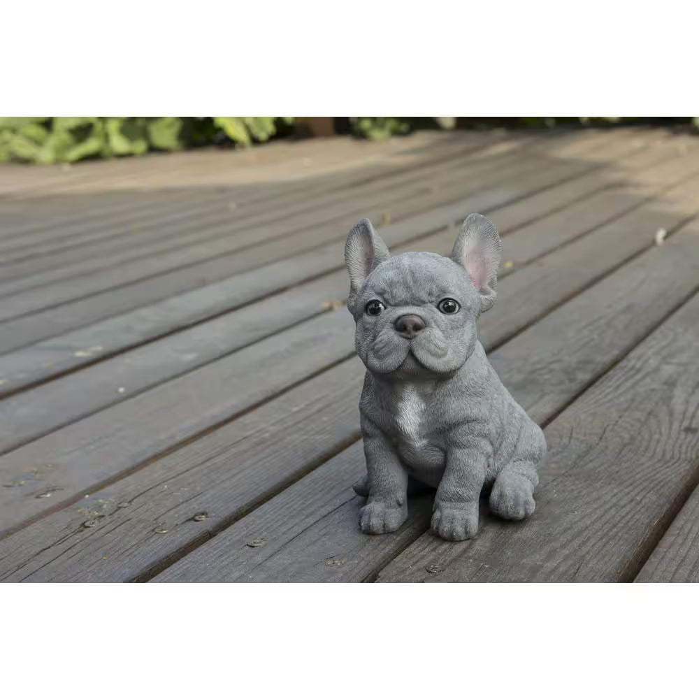 Blue French Bulldog Puppy Sitting Garden Statue