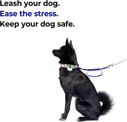 Short Bungee Dog Leash Extension for Large Medium Small Long Dogs, Shock Absorbing Dog Leash Extender, Tactical Dog Leash, Dogs Stress Reliever from Walking and Running - Blue