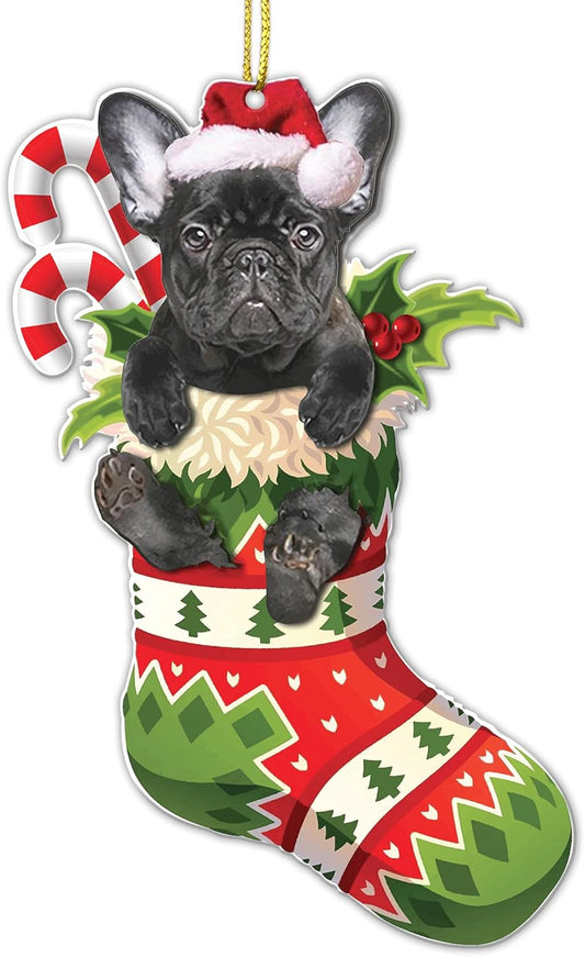 Black French Bulldog Christmas Acrylic Flat Ornament - Frenchie Puppy in Stocking with Santa Hat - Perfect Holiday Tree Decoration for Dog Lovers- 2024 Black Frenchie Dog Christmas Ornament