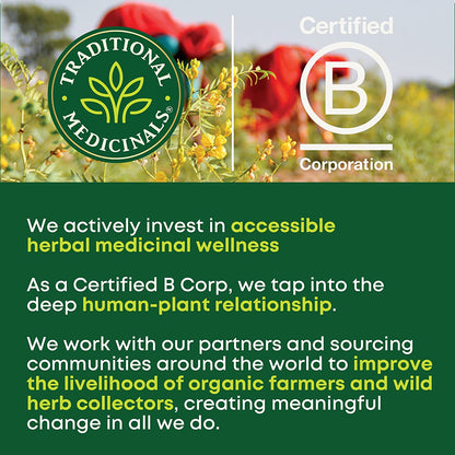 Lozenges, Organic Throat Coat Lemon Ginger Echinacea, Sore Throat Support, 16 Individually Wrapped Lozenges